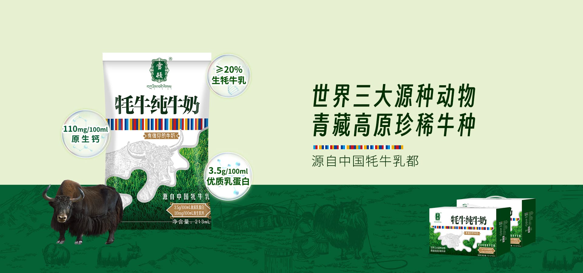 大图3